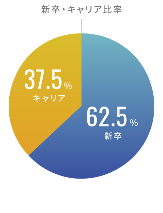 新卒・キャリア比率